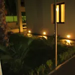 Elisir 4*